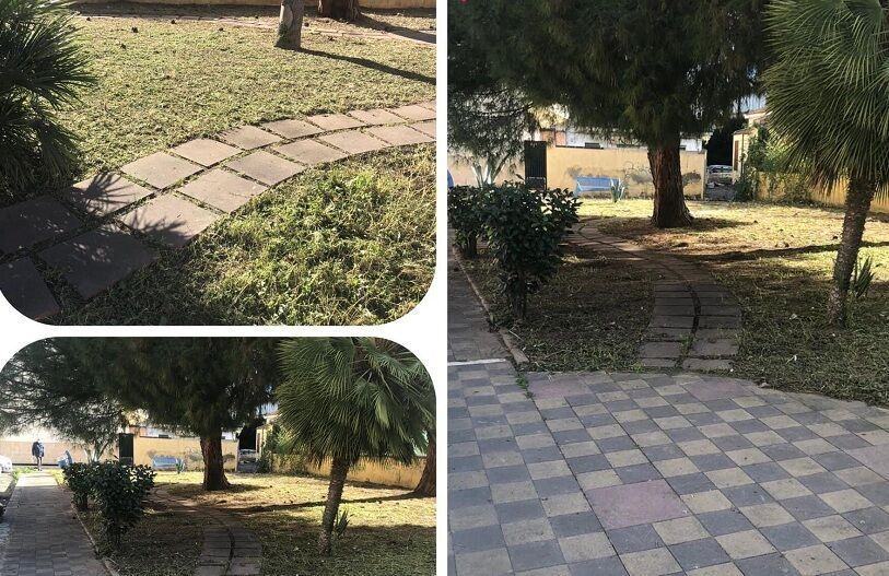 Rinasce