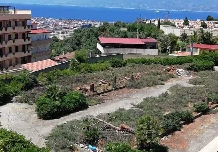 Taglio Alberi Parcheggio Cimitero Condera