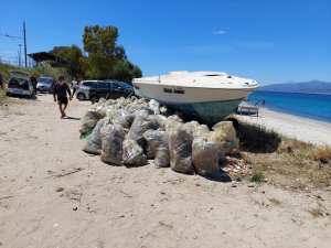 Villa San Giovanni Spiagge Plastic Free 5