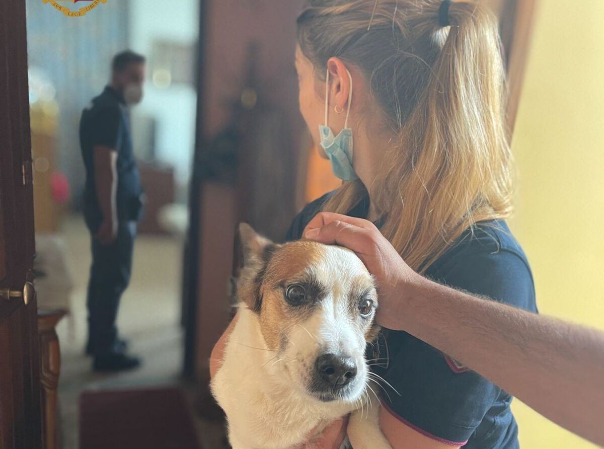 Salvataggio Incendio Appartamento Reggio Calabria