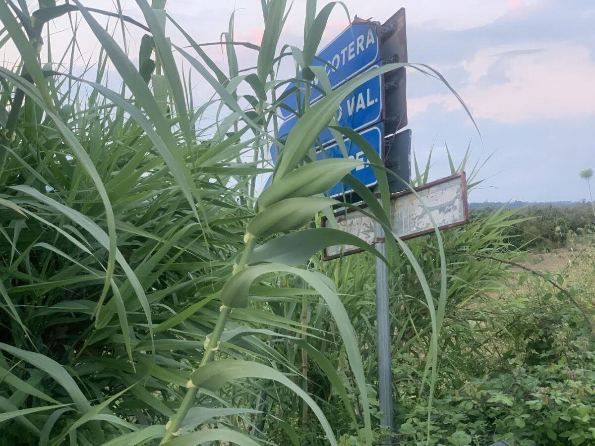 Abbandono Strade