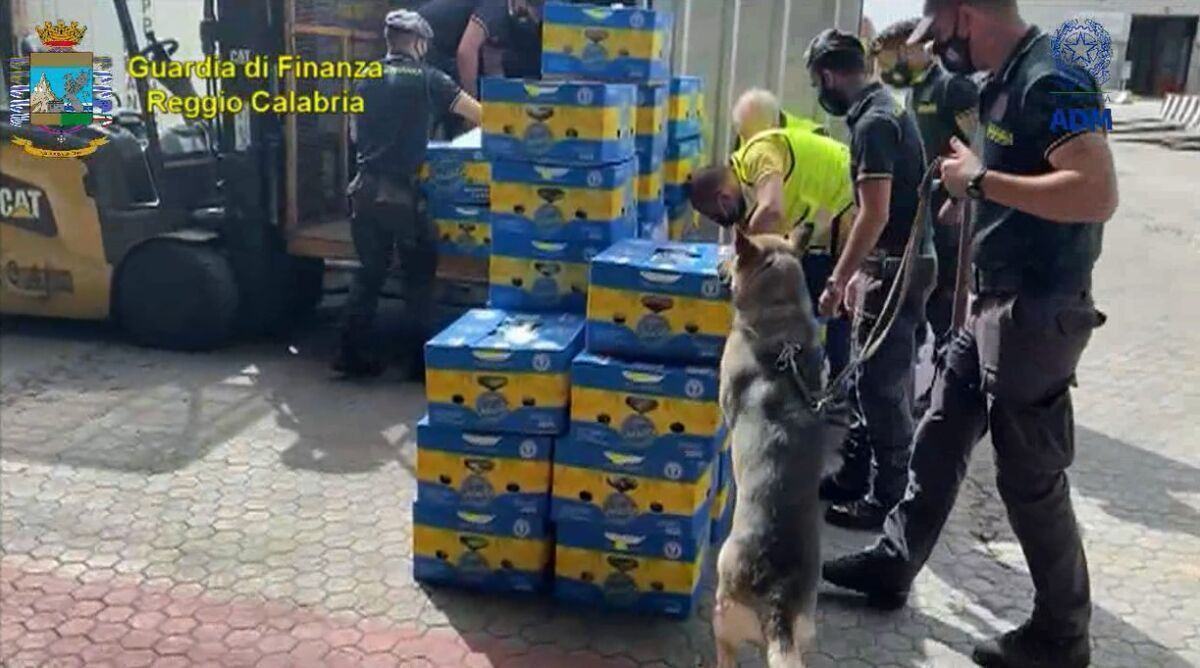 Cocaina Container Porto Gioia Tauro 1
