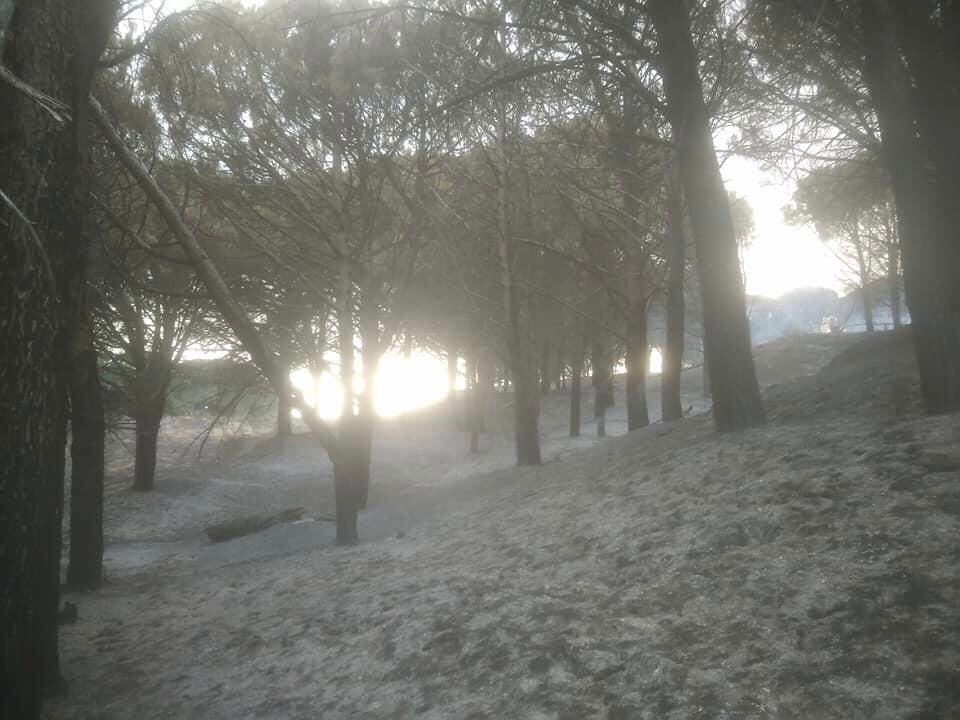 Incendio Motta San Giovanni Carmelo Genovese