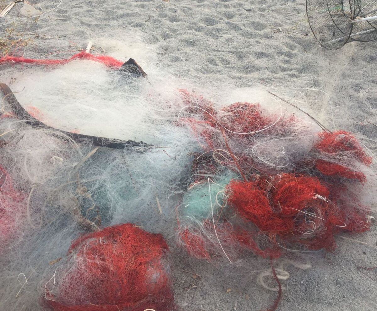 Parco Lineare Sud Degrado 3