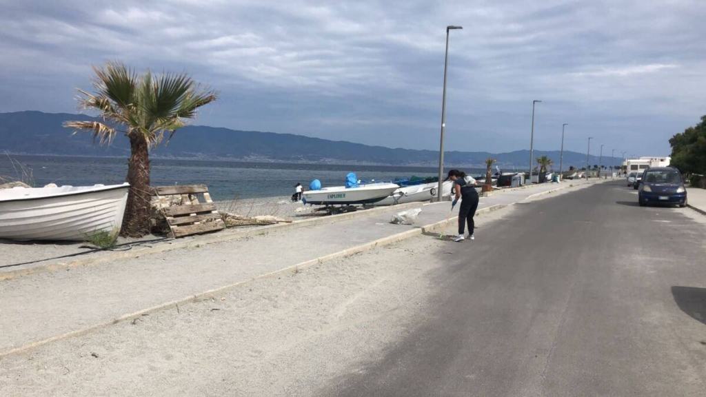 Parcolineare7