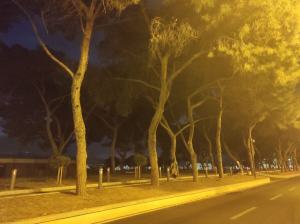 Waterfront Reggio Calabria Sera (3)