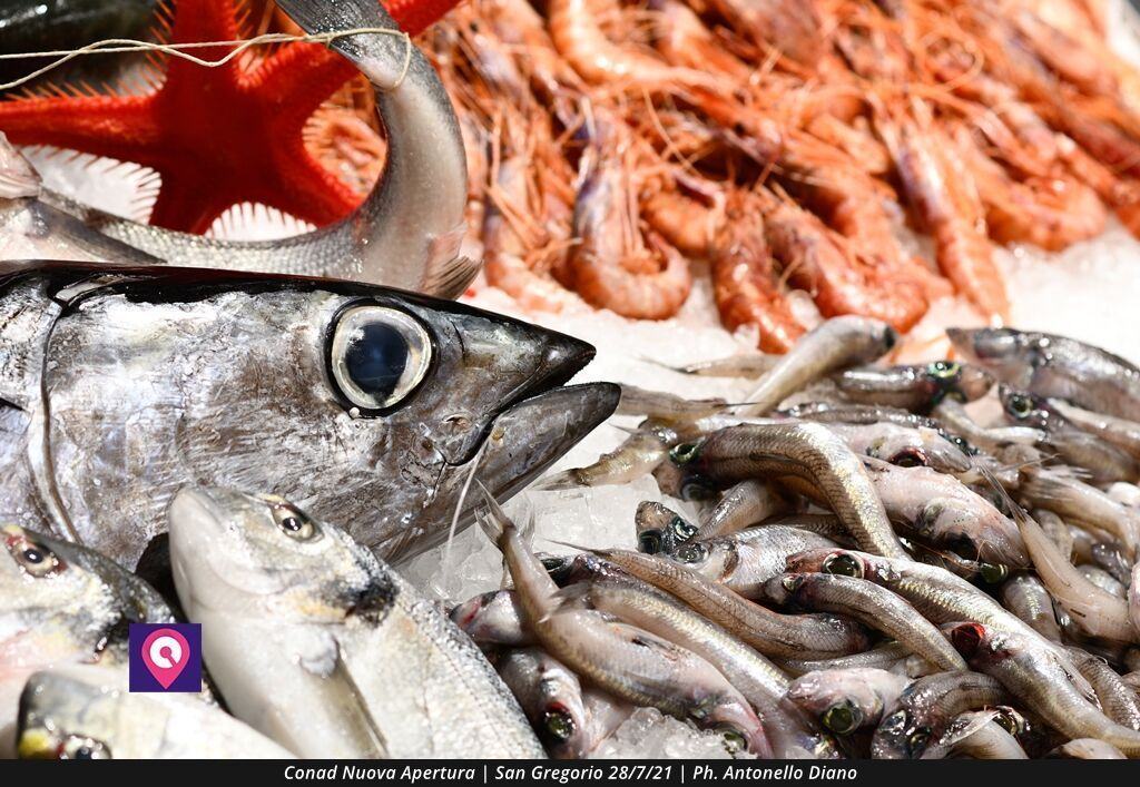 Conad San Gregorio (2)