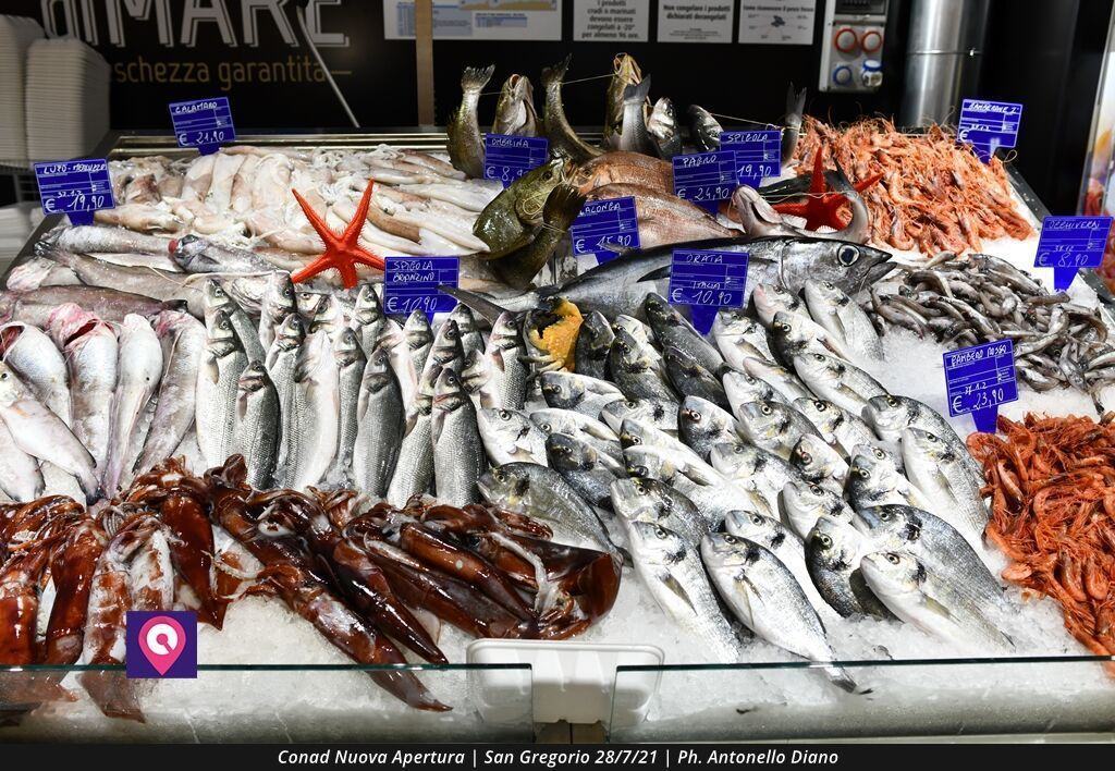 Conad San Gregorio (27)