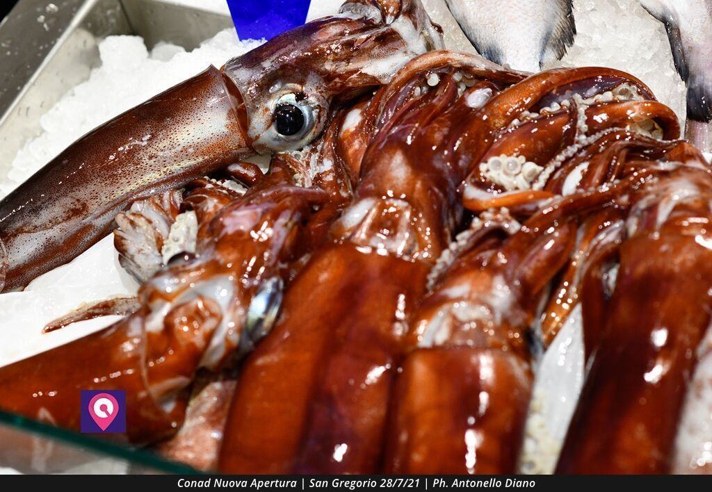 Conad San Gregorio (3)