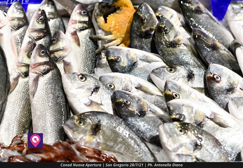 Conad San Gregorio (4)