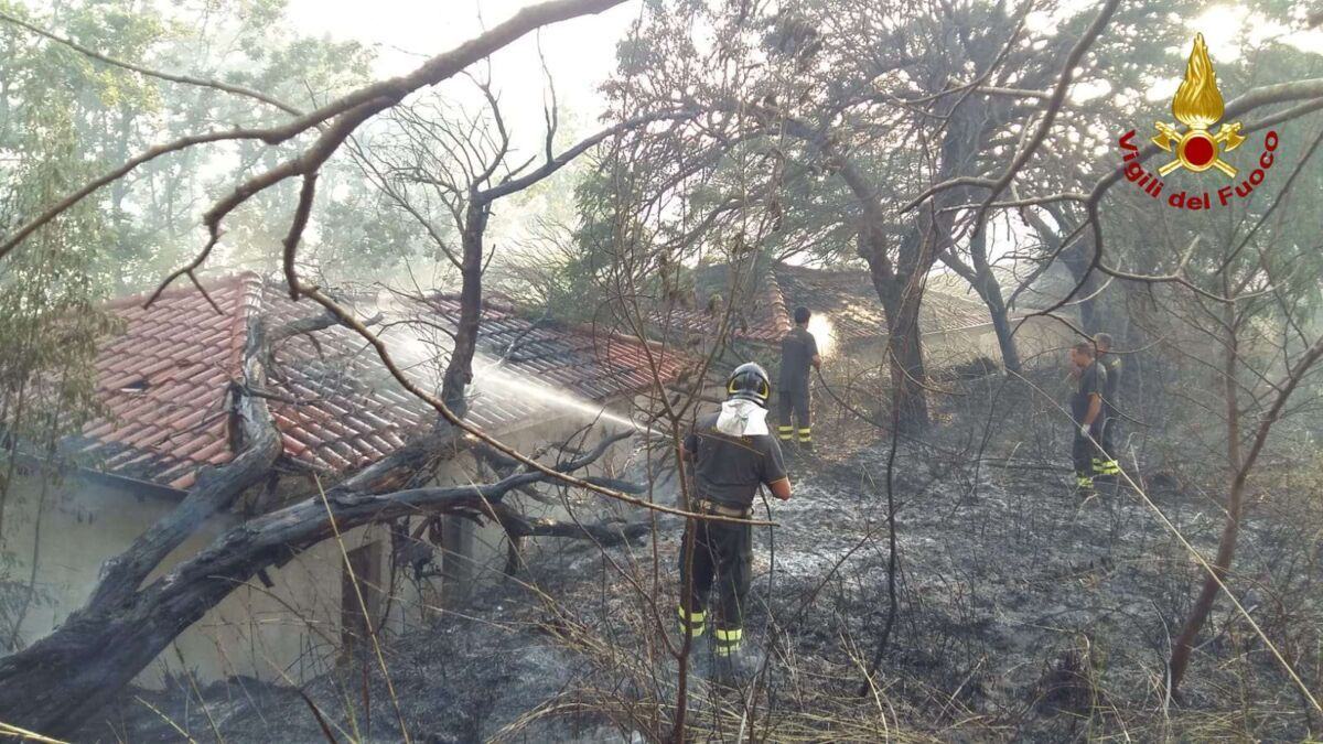 Vigili Del Fuoco Incendi Estivi 1