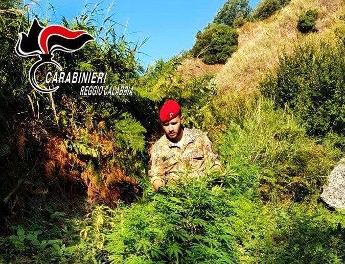 Carabinieri Marijuana