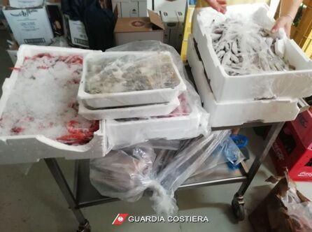 Sequestri Guardia Costiera 2