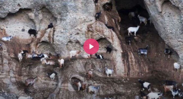 Video Apromonte