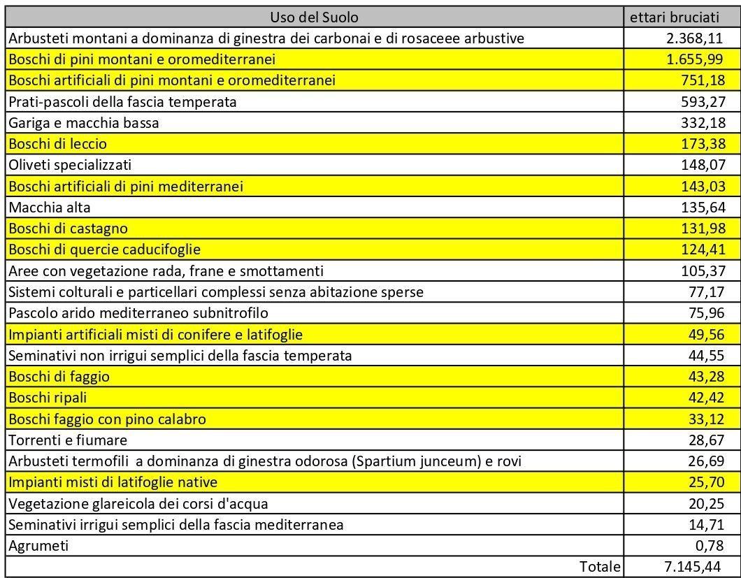 240811841 3050754078503735 775213352107878173 N