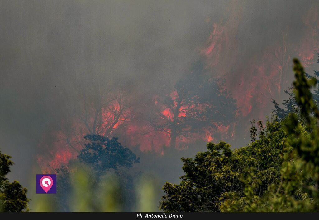 Incendi Cardeto (3)