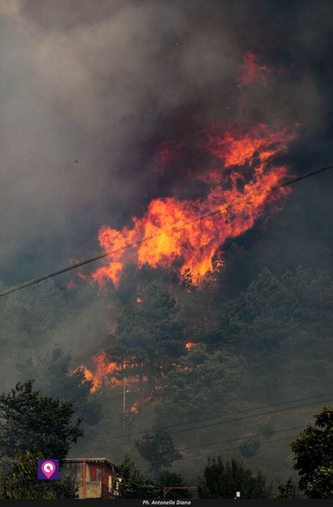 Incendi Cardeto (4)