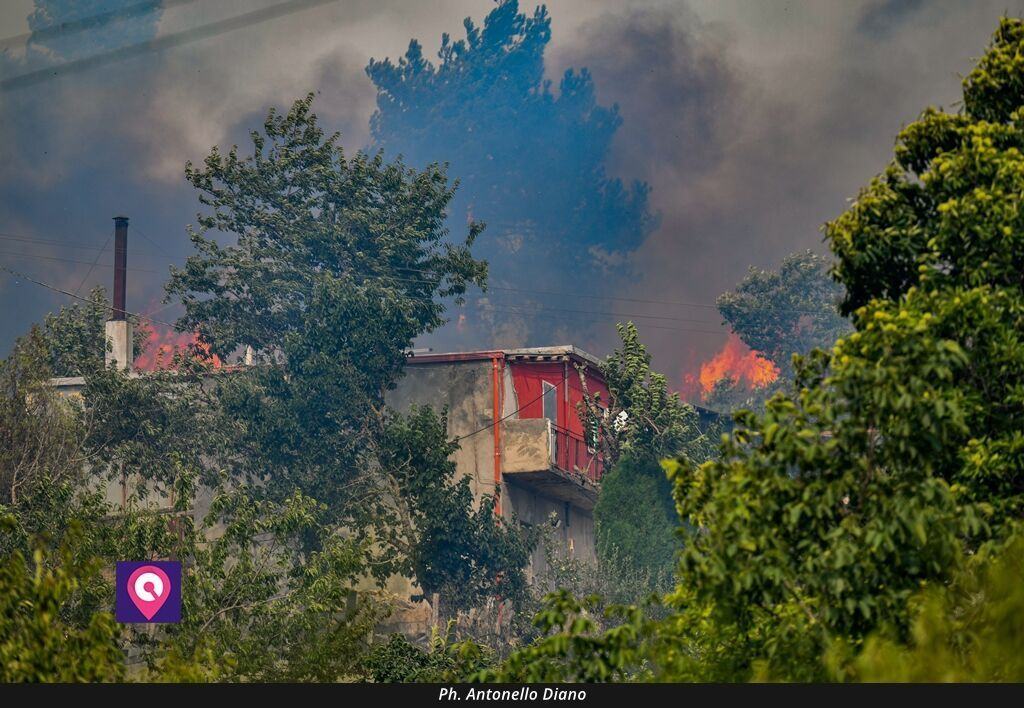 Incendi Cardeto (7)