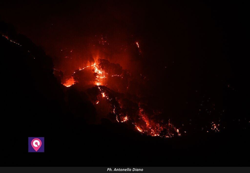 Incendi Vinco (4)