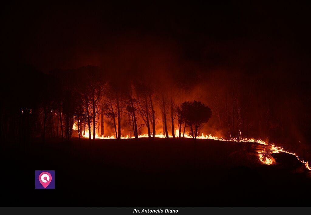 Incendi Vinco (9)