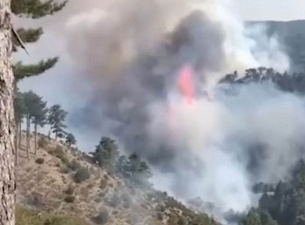 Incendio Aspromonte