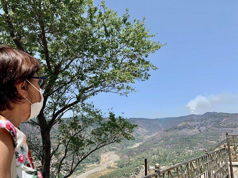 Bruni Area Grecanica