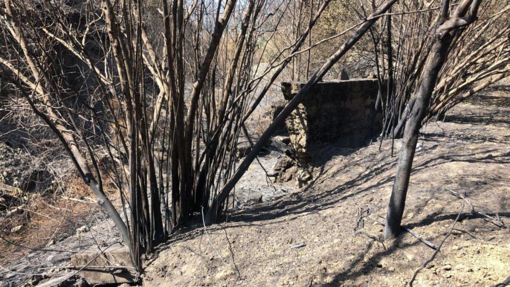 Incendi Aspromonte (3)