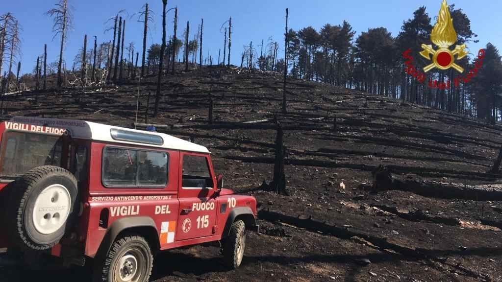 Incendi Calabria (3)