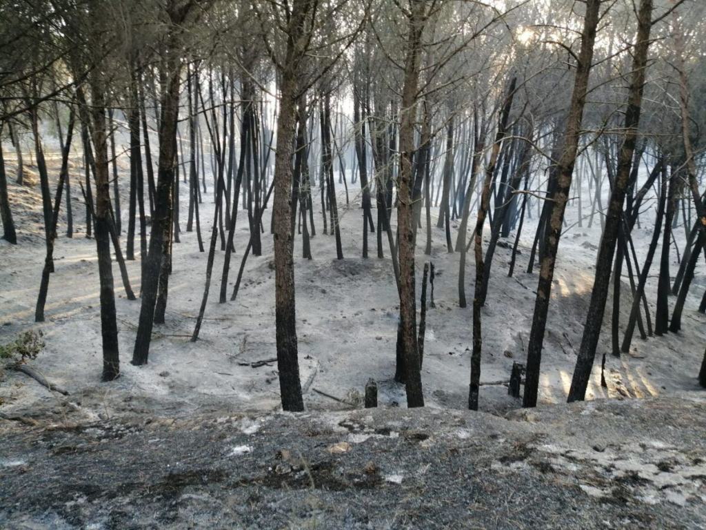 Incendio 31 Luglio 2021