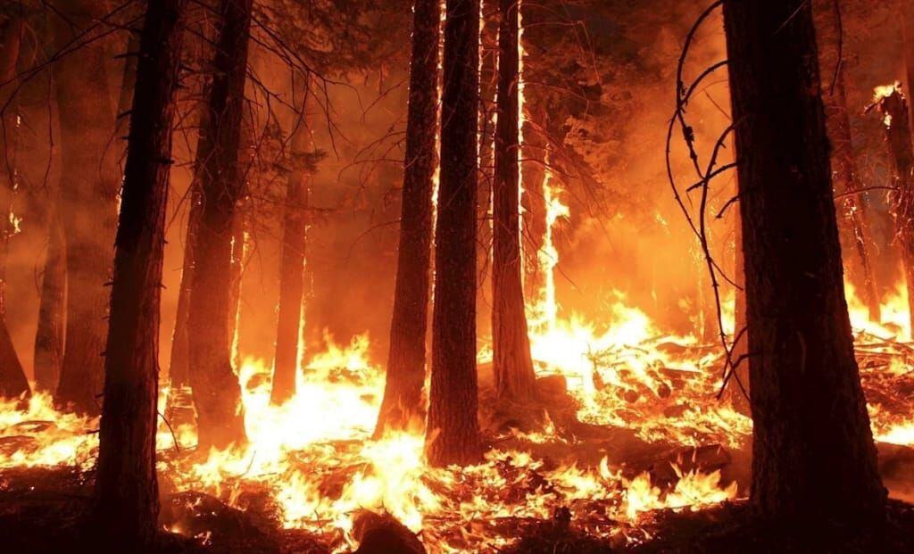 Nesci Incendi