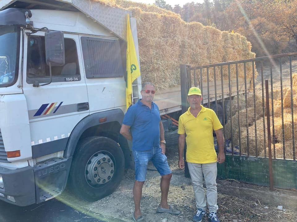 Roccaforte3