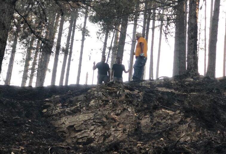 San Luca Incendi (2)