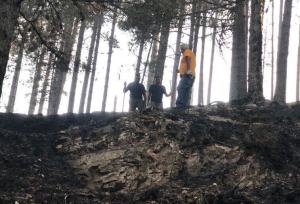 San Luca Incendi (2)