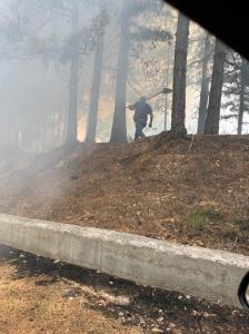 San Luca Incendi (4)