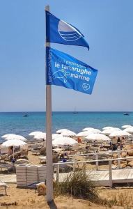 Tartarughe Marine (10)