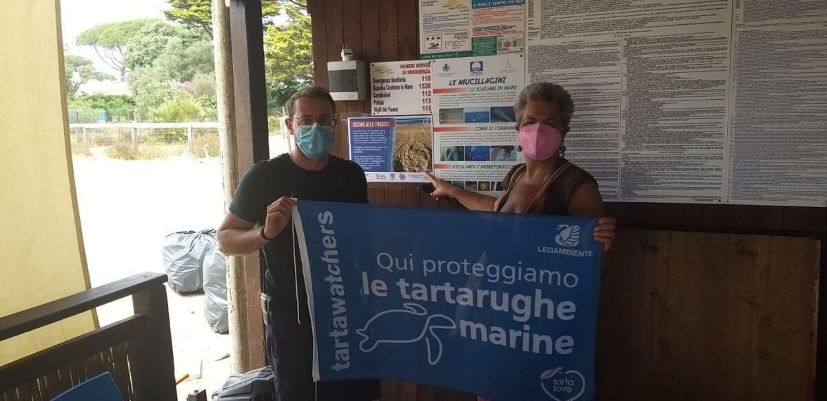 Tartarughe Marine (2)