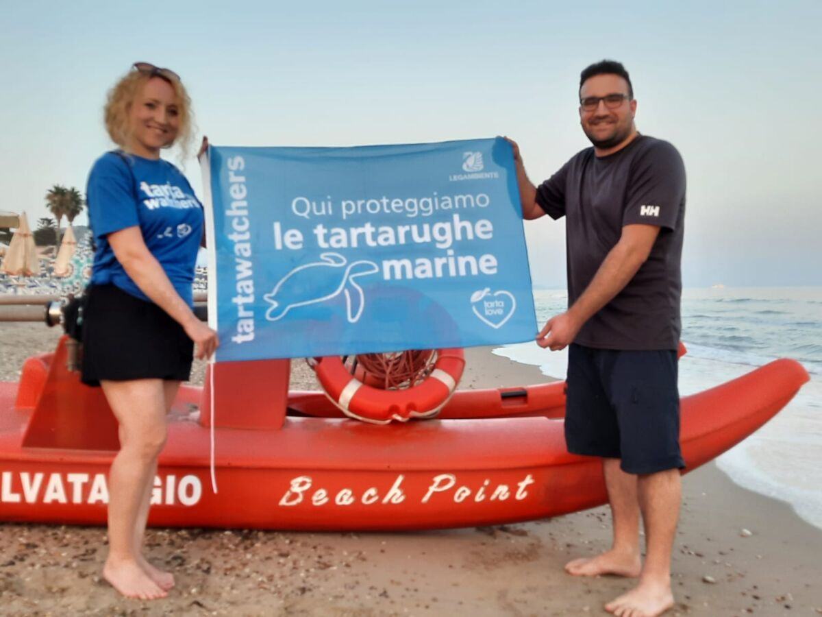 Tartarughe Marine (5)