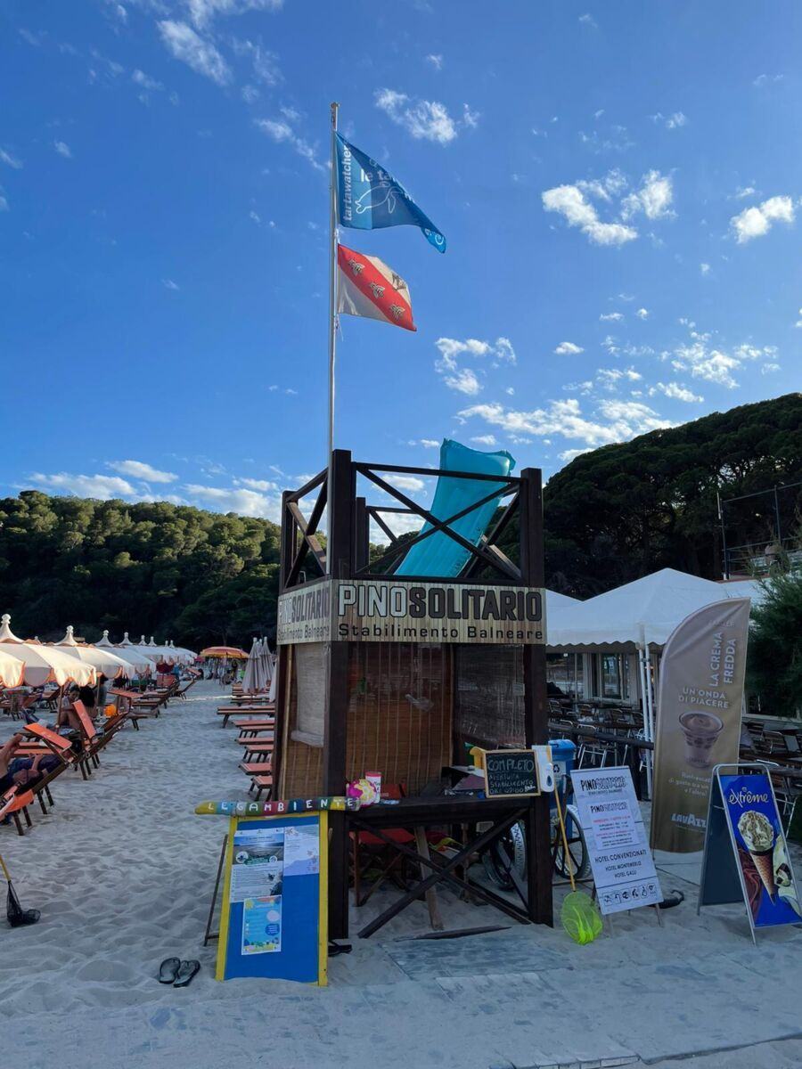 Tartarughe Marine (9)