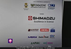 AICING Convegno (33)