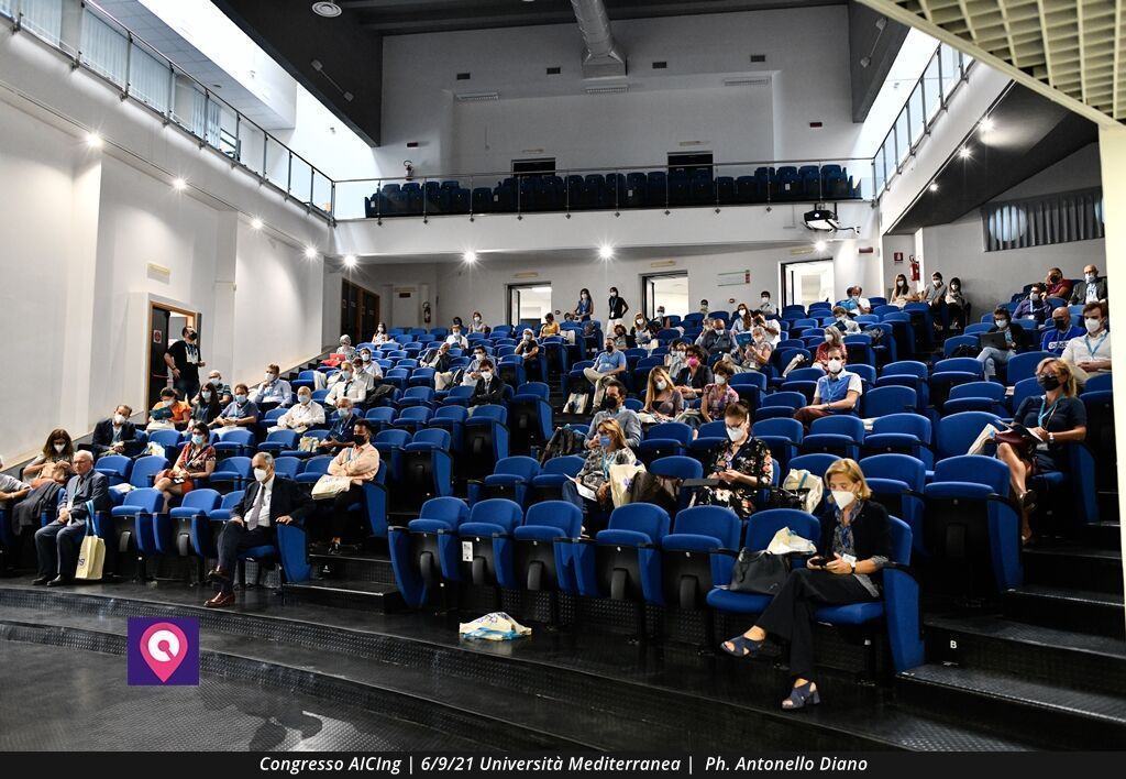 AICING Convegno (4)