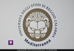 AICING Convegno (42)