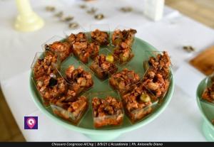 Chiusura Convegno AICING (84)