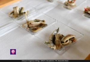 Chiusura Convegno AICING (85)