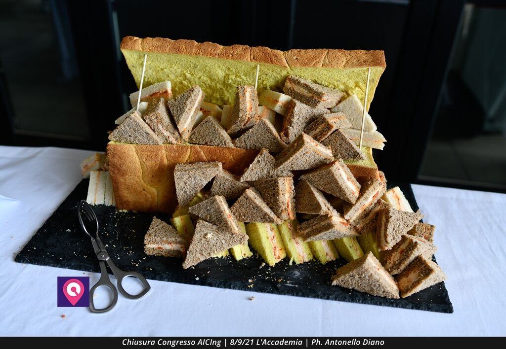 Chiusura Convegno AICING (86)