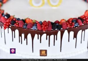 Chiusura Convegno AICING (97)