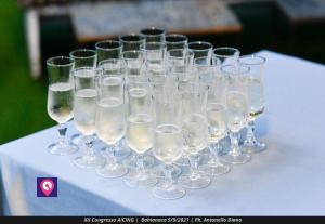 Congresso Acing (25)