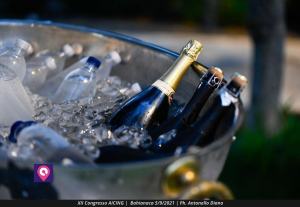 Congresso Acing (26)