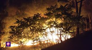 Incendi Collina Pentimele