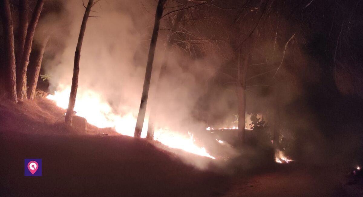 Incendi Collina Pentimele 4