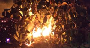 Incendi Collina Pentimele 5